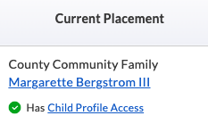 Screenshot of Child Profile Access enabled